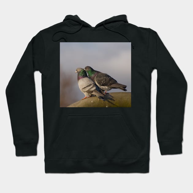 Pigeon Fancier Hoodie by Nigdaw